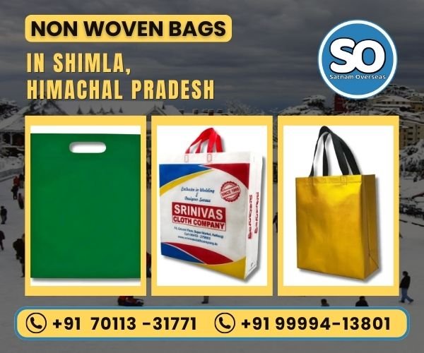 Non Woven Bag in Shimla, Himachal Pradesh