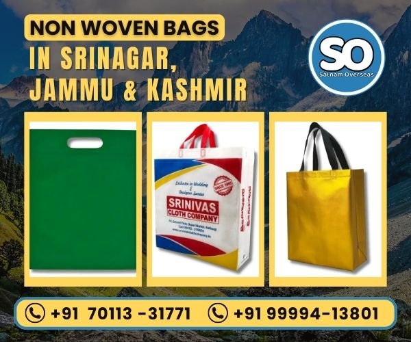 Non Woven Bag in Srinagar, Jammu & Kashmir