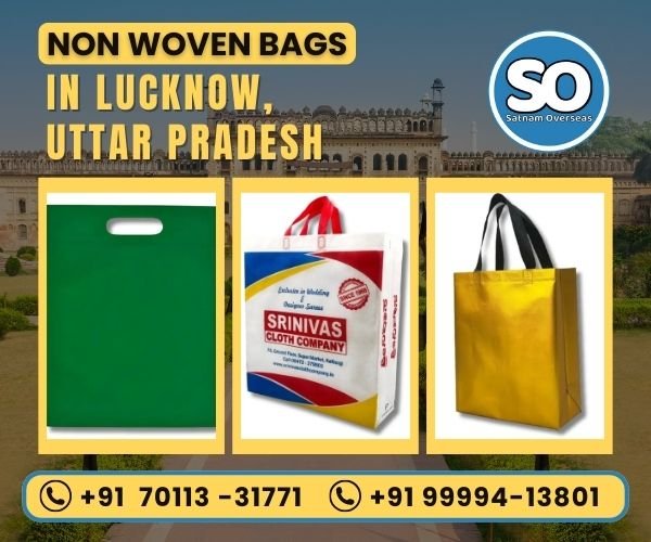 Non Woven Bag in Lucknow, Uttar Pradesh