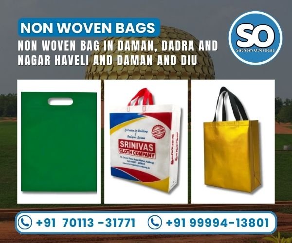 Non Woven Bag in Daman, Dadra and Nagar Haveli and Daman and Diu