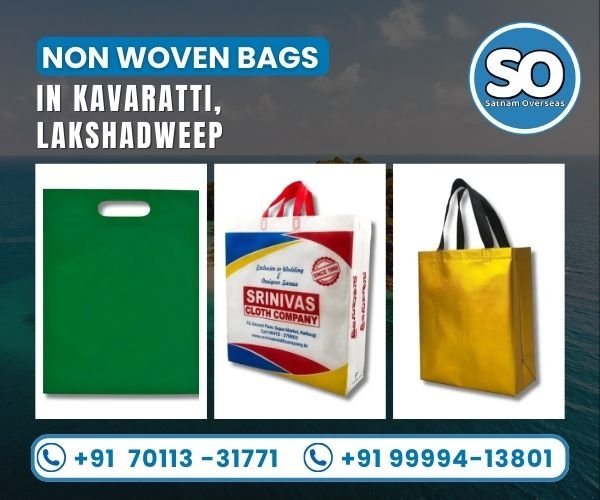 Non Woven Bag in Chandigarh, punjab